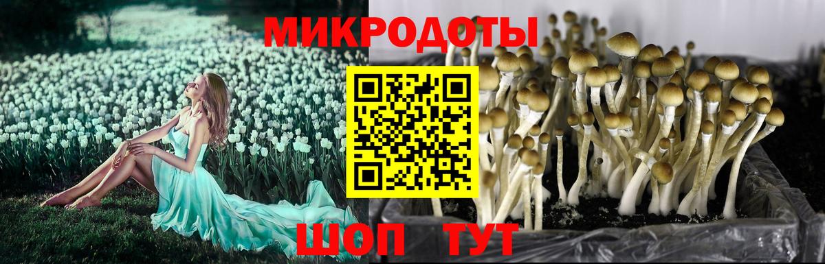 Галлюциногенные грибы ЛСД Реутов