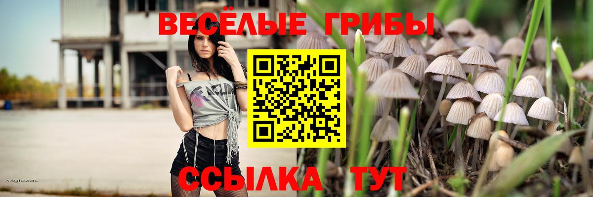 Реутов  Псилоцибиновые грибы прущие грибы  Вход с VPN  Псилоцибиновые грибы Cubensis 